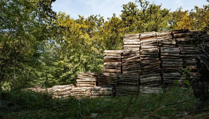 Vente de bois de chauffage Héry